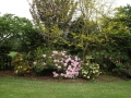 DSCF0163
