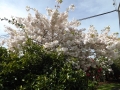 DSCF0166