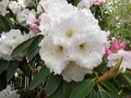 DSCF0187