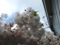 DSCF0189