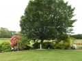 DSCF0373