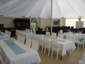 Marquee 10(Medium)