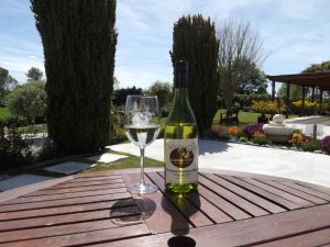 Wine tasting 9 (Medium)